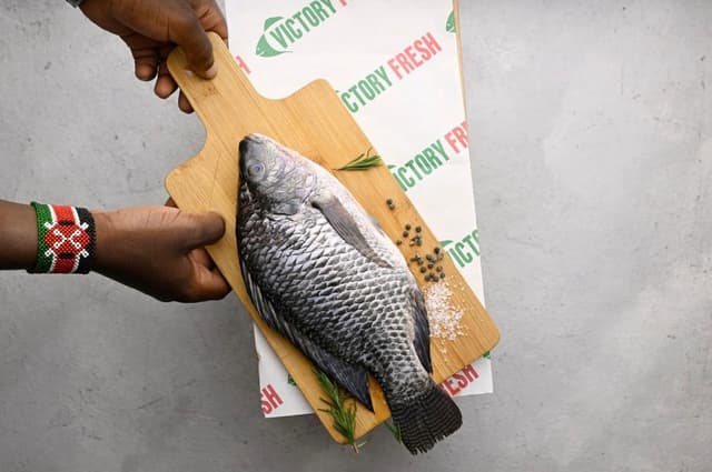 Tilapia Box